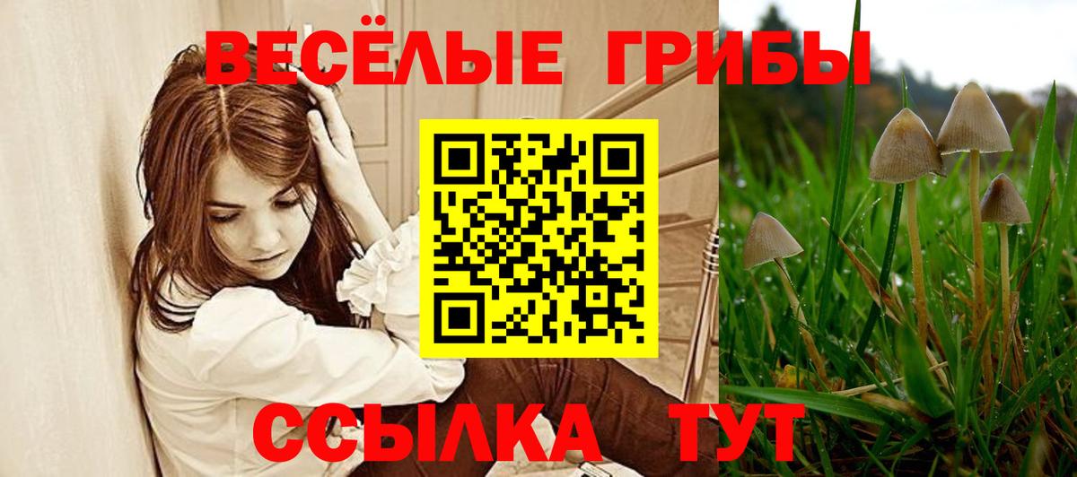 Вольск  Псилоцибиновые грибы мухоморы  наркотики  Вход с VPN 