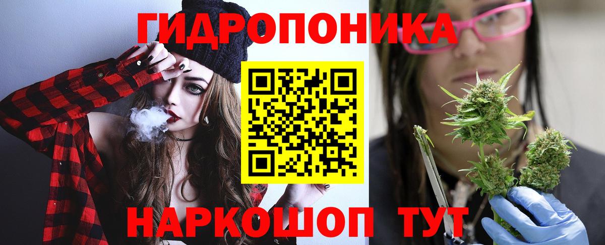 Вольск  Марихуана план  Вход с VPN  Каннабис гибрид  Конопля гибрид 